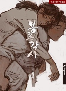 دانلود انیمه Bongchon Bride